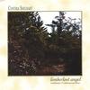 CYNTHIA SHELHART: Limberlost Angel