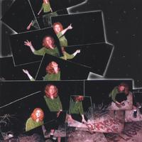 SHELLEY BARRATT: Origin of Flight