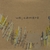 SHENANDOAH DAVIS: We; Camera