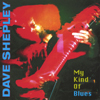 DAVE SHEPLEY: My Kind Of Blues