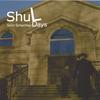 SHIM SCHECHTER: Shul days
