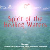 SHOCKEY: Spirit of the Healing Waters