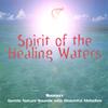 SHOCKEY: Spirit of the Healing Waters