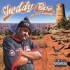 SHODDY BOE...: Life of a Roadrunner