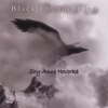 SHY-ANNE HOVORKA: Black ThunderBird