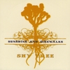 SHY TREE: Sunshine and Sidewalks