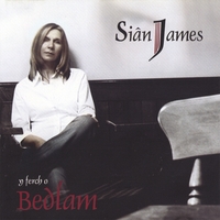 Sian James : Y Ferch o Bedlam