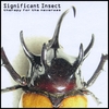 SIGNIFICANT INSECT: Therapy for the Neverwas