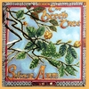 SILVER ARM: The Beech Tree