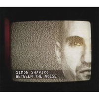 SIMON SHAPIRO: Between The Noise