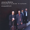SINUSQUARTETT.COM: Brahms Pianoquartets op.25 & 60