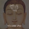 SIRI DYAL BAND: We R Here Volumn One