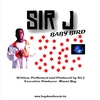SIR J: Baby Bird