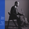 STEVE JAMES: Short Blue Stories