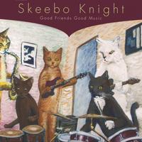 Skeebo Knight : Good Friends Good Music