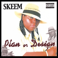 SKEEM: Plan or Design