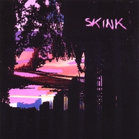SKINK: Skink