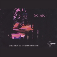 SKINK: 100 Random Signs