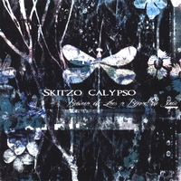 SKITZO CALYPSO: Between the Lines & Beyond the Static