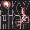 SKY HIGH: Sky High