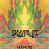 SKYYPILOT: Taking Off