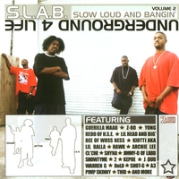 S.L.A.B.: Vol. 2 : S.L.A.B.ed