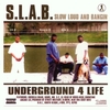 S.L.A.B.: Vol. 1 : S.L.A.B.ed