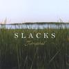 SLACKS: Terrestrial