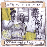 Sleeping in the Aviary : Expensive Vomit in a Cheap Hotel