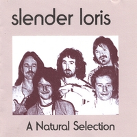 SLENDER LORIS: A Natural Selection