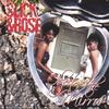 SLICK & ROSE: Objects in the Mirror