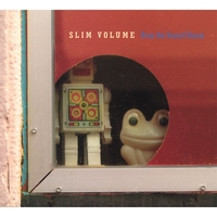 Slim Volume : From The Sound Chasm