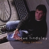 STEVE LINDSLEY: While I'm Here