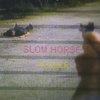 SLOW HORSE: Rusher