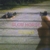 SLOW HORSE: Rusher