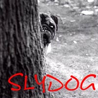 Slydog : Slydog