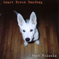 SMART BROWN HANDBAG: Fast Friends