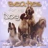 SMART TAILS/FELIX PANDO: Beatles for my dog
