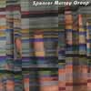 SPENCER MURRAY GROUP: Spencer Murray Group