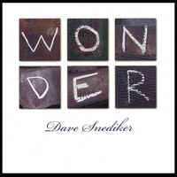 Dave Snediker : Wonder