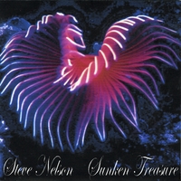Steve Nelson : Sunken Treasure