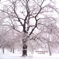 Snowblind : Arctic Fury