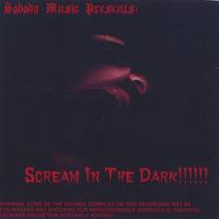 SOBODA MUSIC: Scream In The Dark