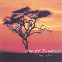 State Of Enchantment : Witness Tree