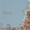 THE SOFTONE: These days are blue