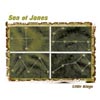 SEA OF JONES: little kings
