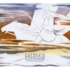 SOLEFALD: The Circular Drain
