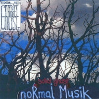 Solid Ghost : Normal Musik