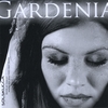 SOL SKUGGA: Gardenia