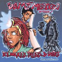 Soma Mestizo : Interim 2- remixes, dubs, b-sides